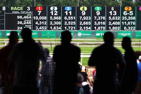 horse race bet calculator,Mais